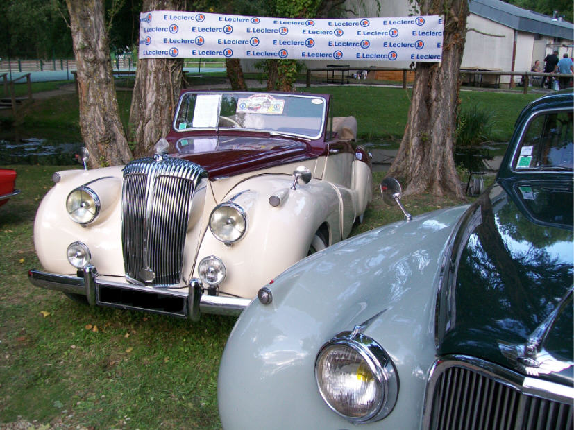 1017403.JPG (130537 bytes)